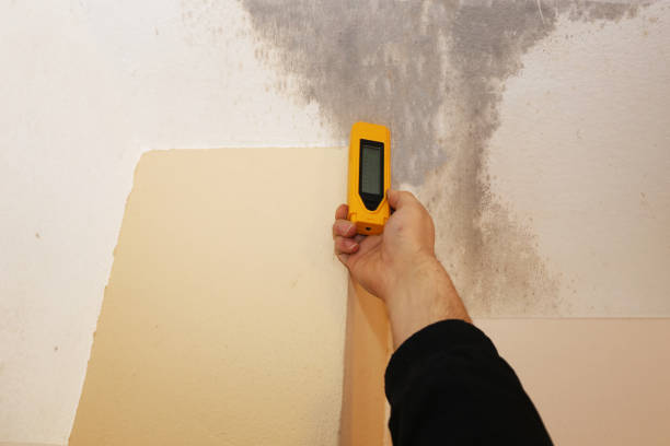 Mold Odor Removal Services in Killian, LA